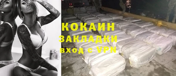 гидра Осинники