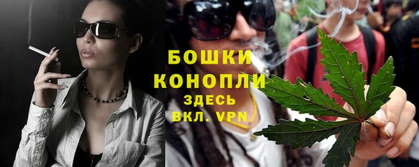 ГАЛЛЮЦИНОГЕННЫЕ ГРИБЫ Баксан