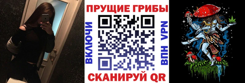 Псилоцибиновые грибы GOLDEN TEACHER  Черняховск 