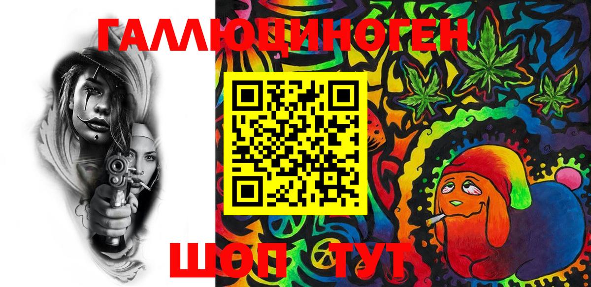 что такое наркотик  Вход с VPN  Черняховск  Псилоцибиновые грибы Cubensis  Псилоцибиновые грибы GOLDEN TEACHER 
